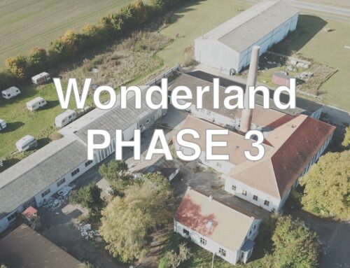 Wonderlands phase 3